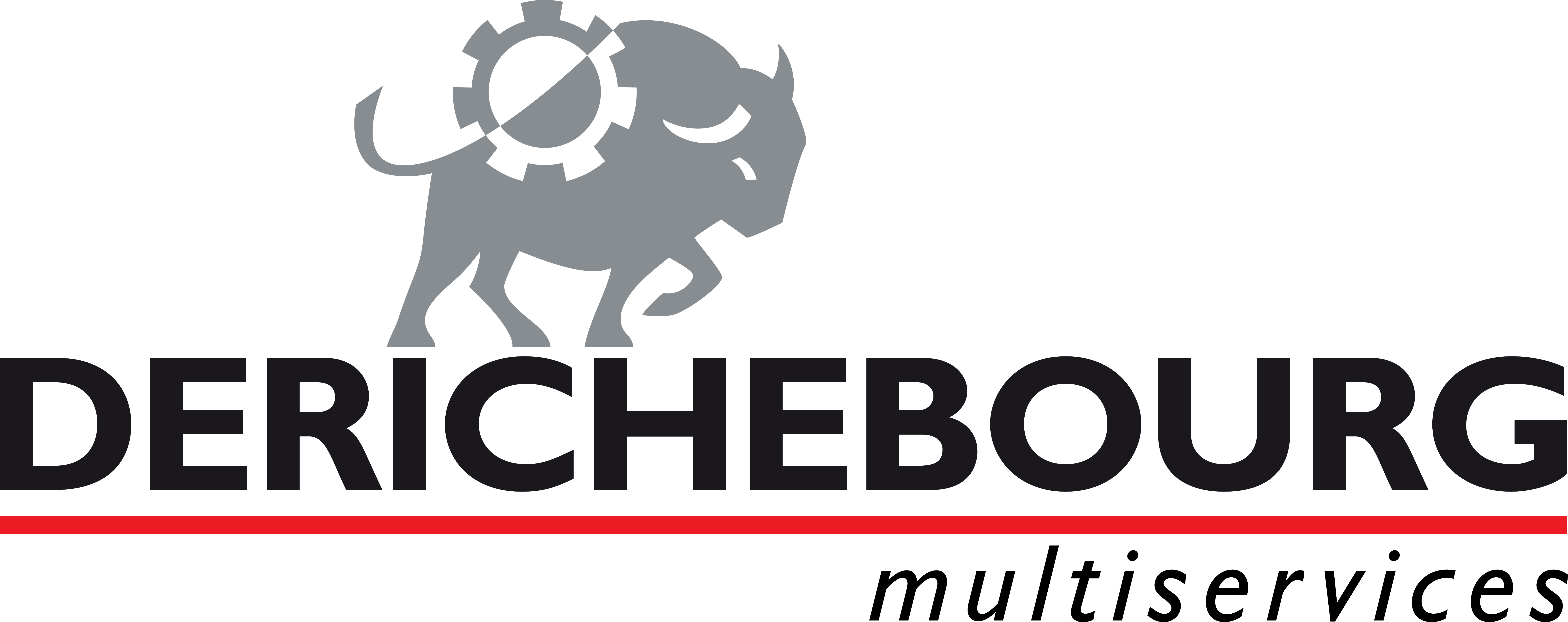 Logo DERICHEBOURG multiservices